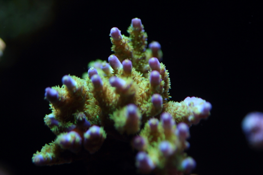 Nov2013M0005.JPG