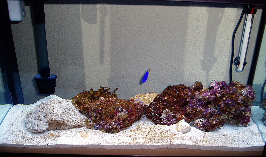 tank-01-09-05.jpg