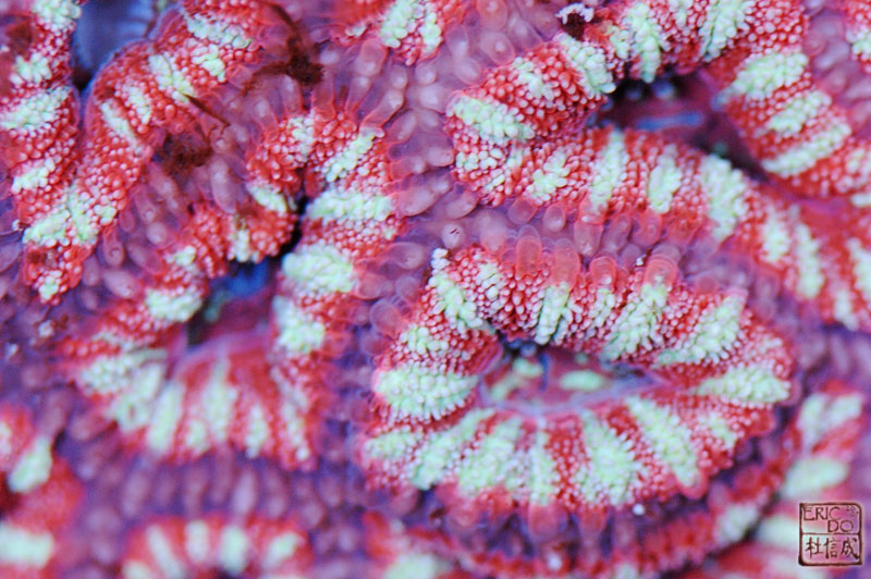 D2X_1114.jpg