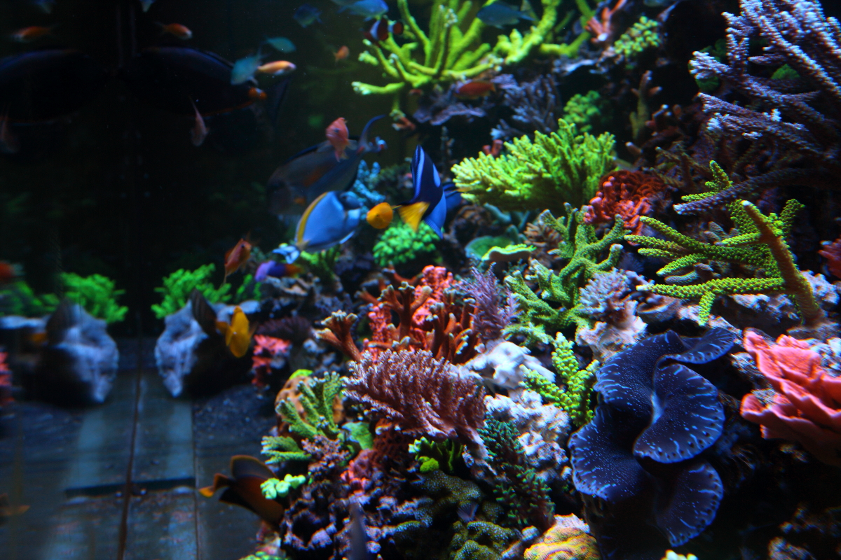 Sept20130028.JPG