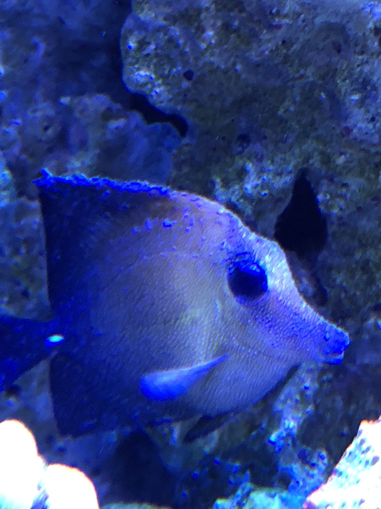d235307730598b3847000a386396a59b.jpg
