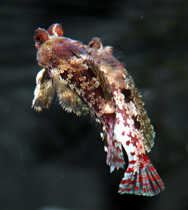 DSCN7891.jpg