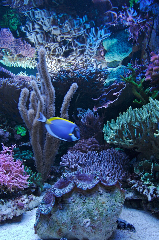 20080929-11.jpg