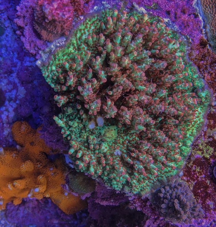 5fdbdcb65ac085a6b923a5c7b869fdf0.jpg