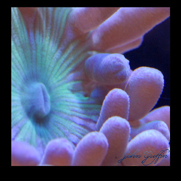 3387458615_73888c2ede.jpg