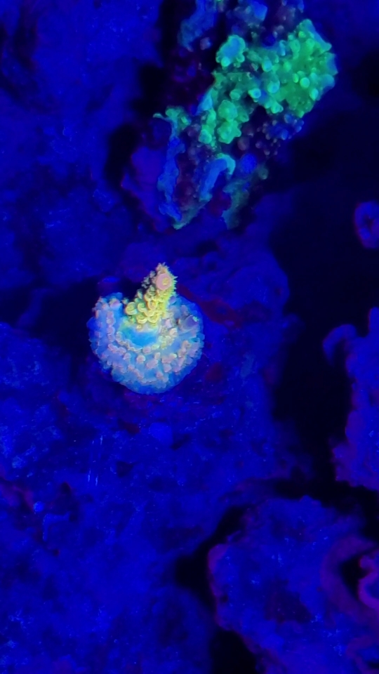 42993c41939b84b84490ca1c5c2bfd83.jpg