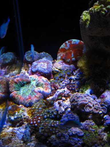 IMG_3188.JPG