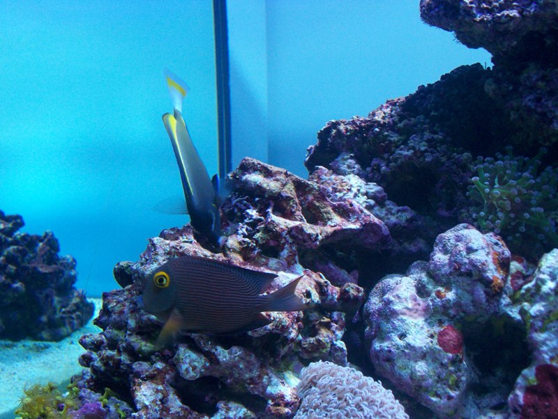 100_9727.jpg