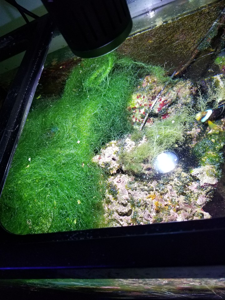 20170427_215352-X2.jpg
