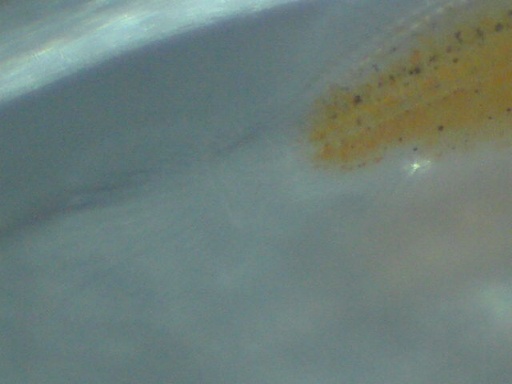 perc_91_5.jpg