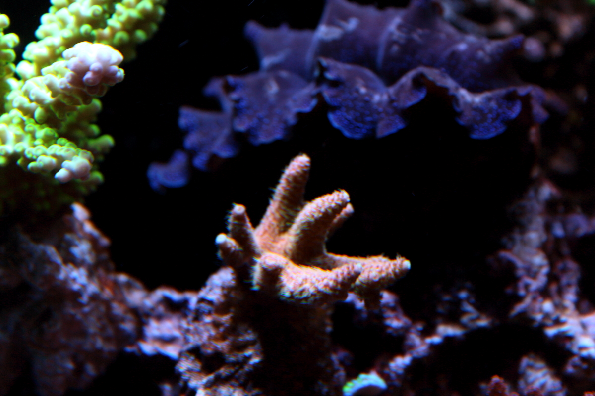 Sept20130006.JPG
