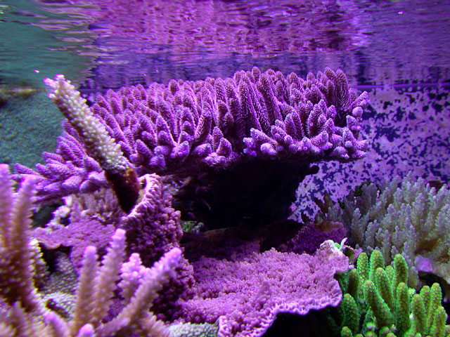 DSCN0856.jpg