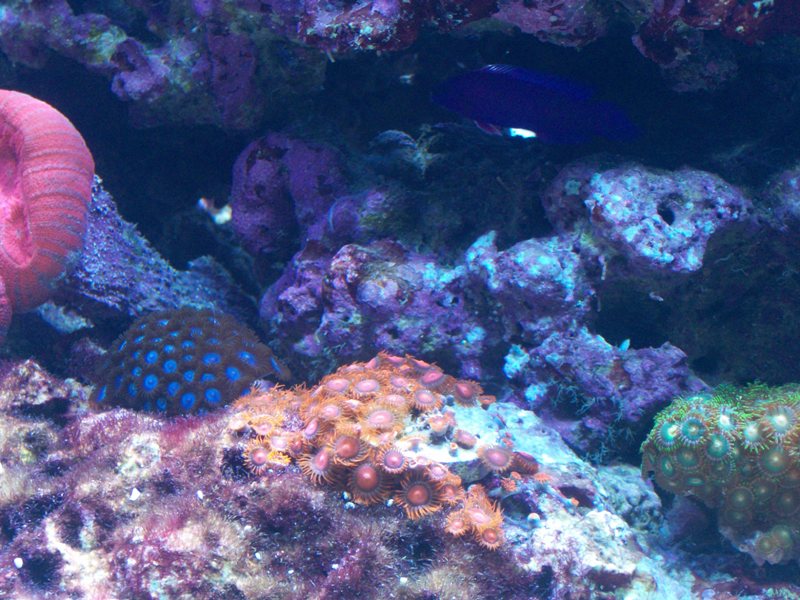 100_9717.jpg