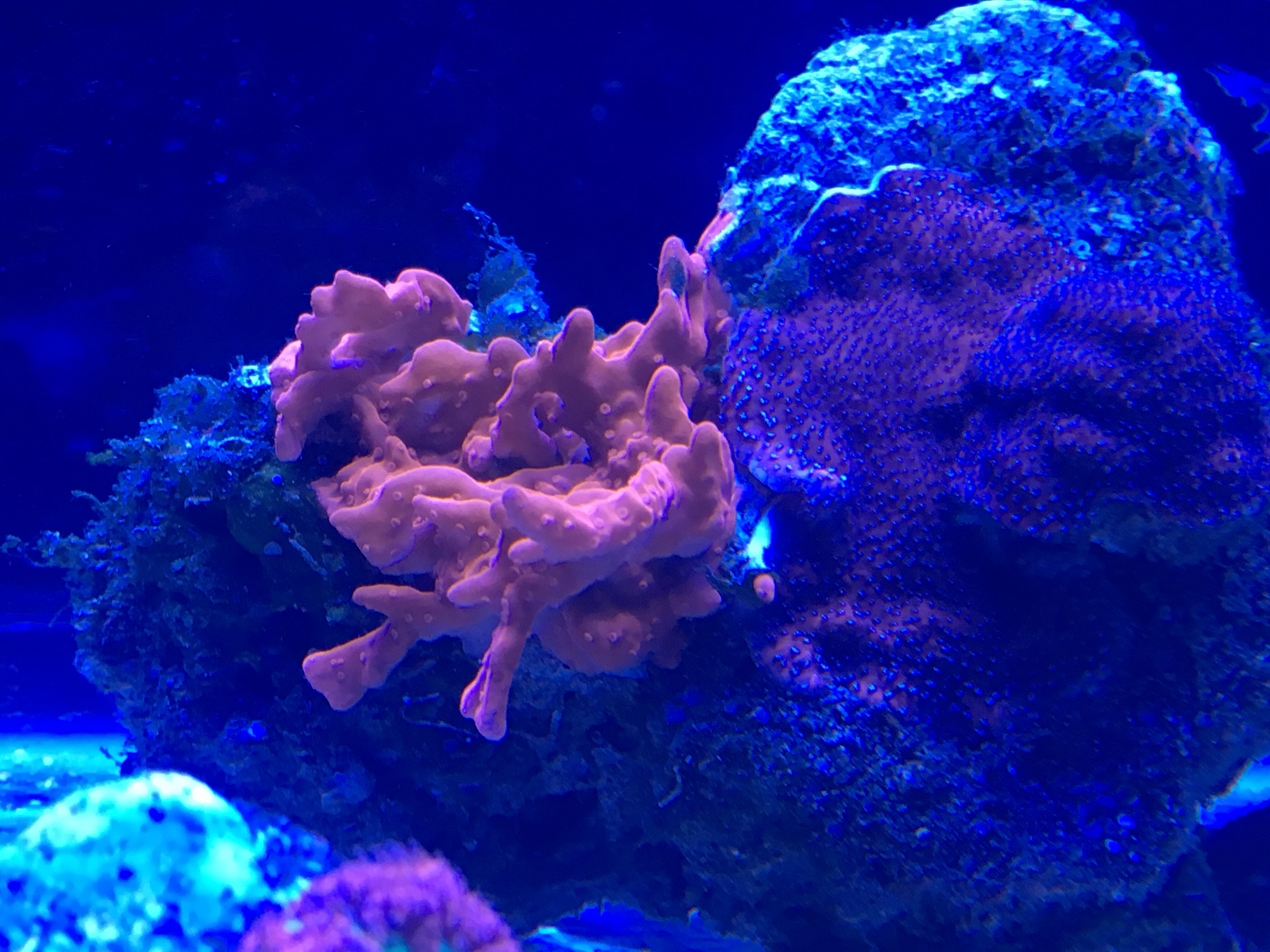 e777c159c5c6f9e7b29698c38ddfba91.jpg