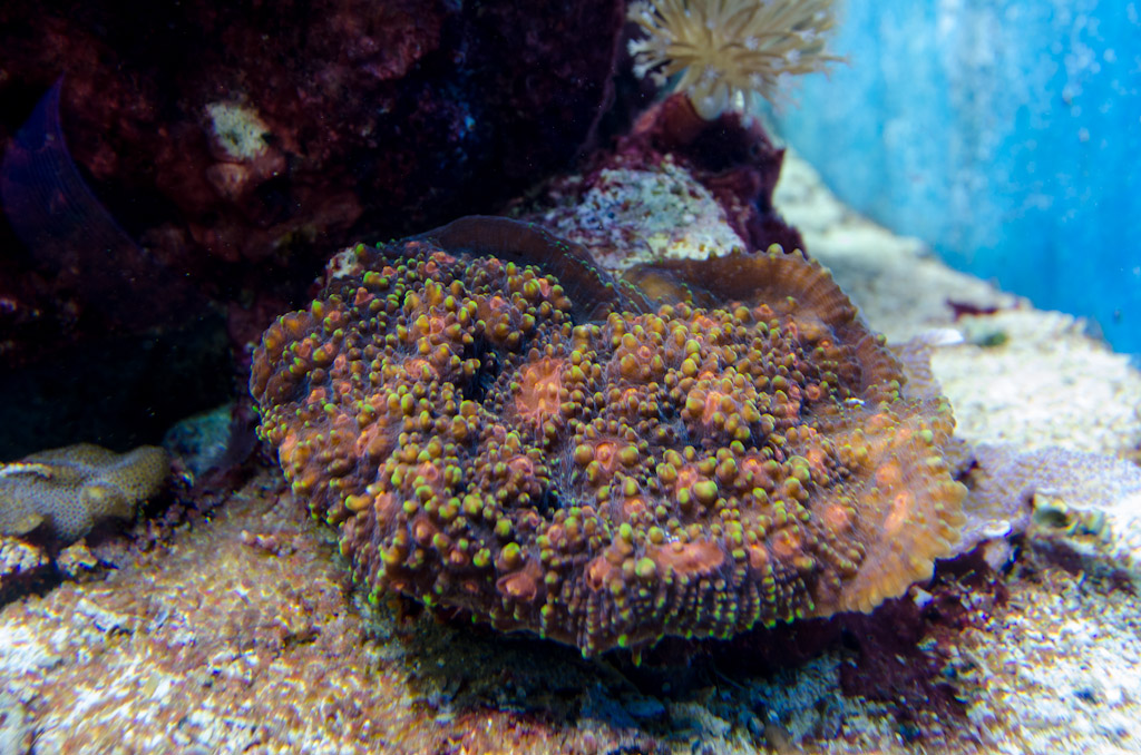 DSC_3714.jpg