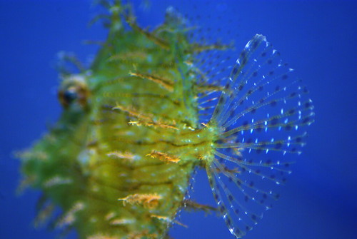 2916284996_5c6d8b0519.jpg