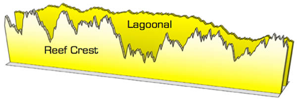 ecotech_marine_vortech_ecosmart_reef-crest_lagoonal_modes.jpg