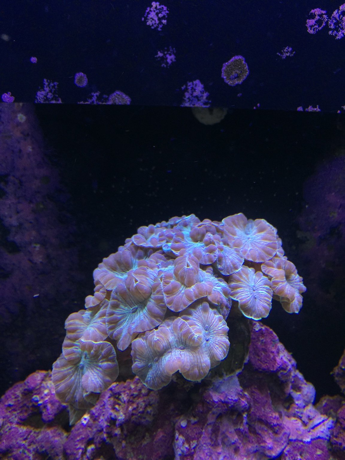 7d107b9a5837cd380d8536572c4cb6c0.jpg