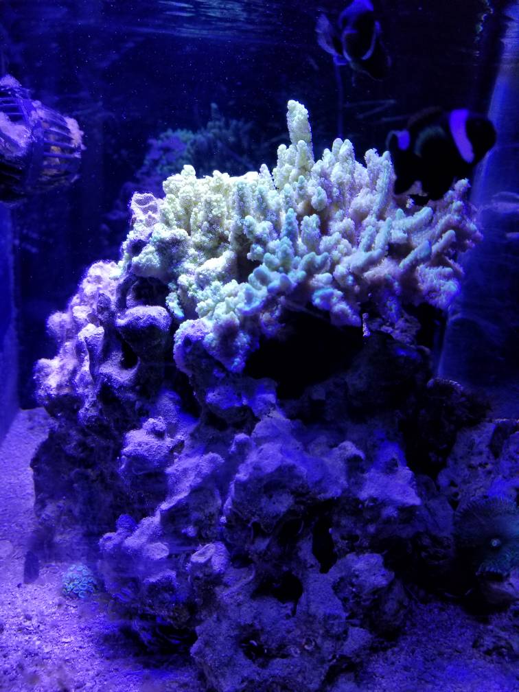 2dcac38c3a54714f5a0280a541b450c4.jpg