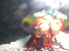 1128215717_7aaa0c9788_m.jpg