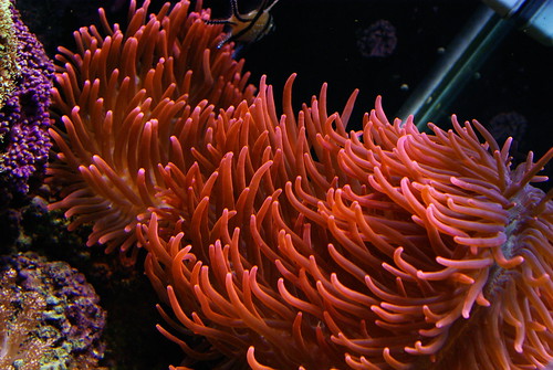 2977230368_3f23de8c87.jpg