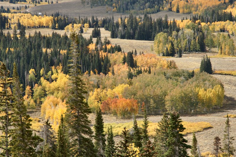Dsc01367fallcolors-vi.jpg