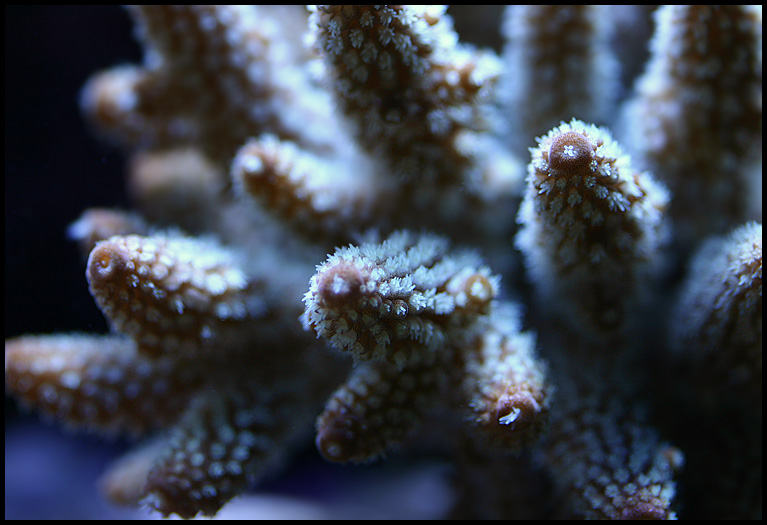 618_acro3.jpg