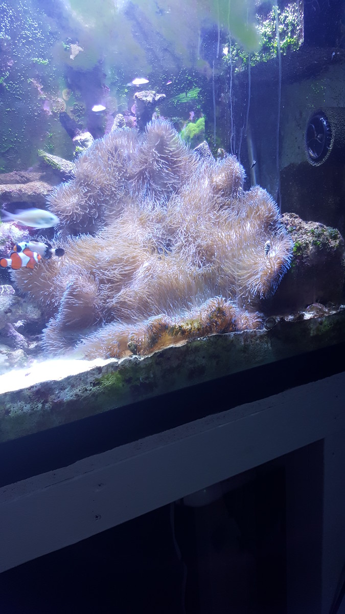 20170307_184140-X3.jpg