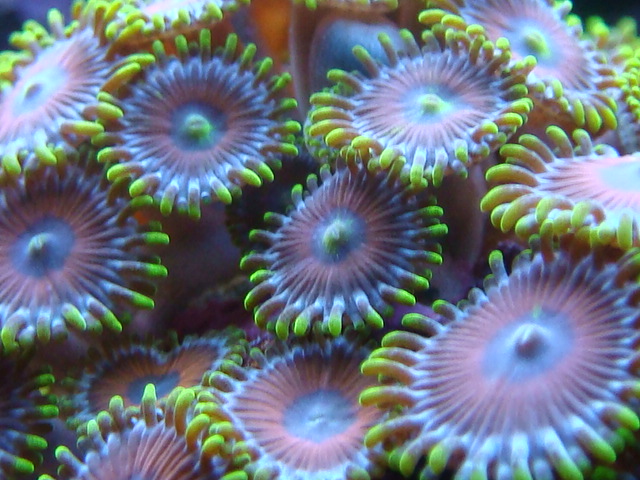 4160751203_dc77894961_o.jpg