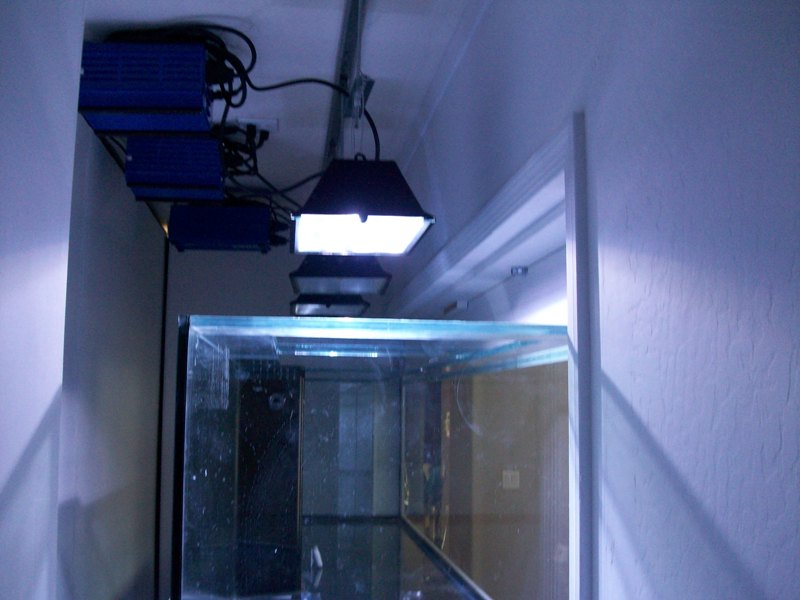 100_6359.jpg