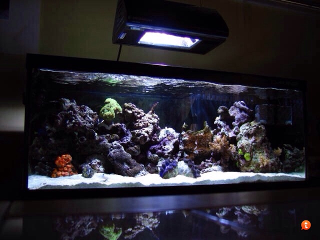 subudu9u.jpg