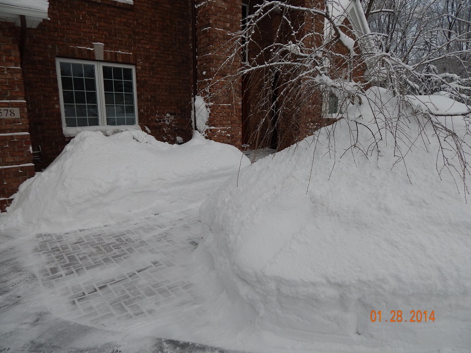 2014_snow1.jpg