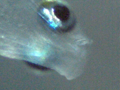 GBG_324_2.jpg