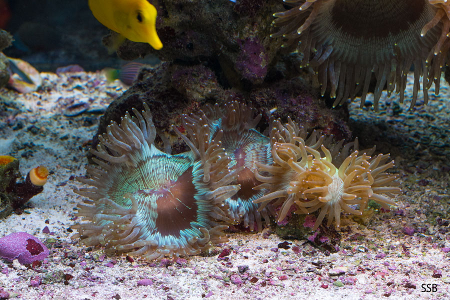 50g_20131217_5.jpg