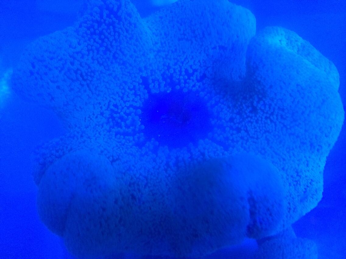 BpK2RuSIQAAxDRH.jpg:large