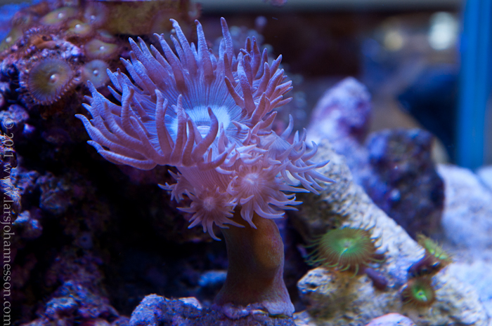 20110530-_DSC1933.jpg