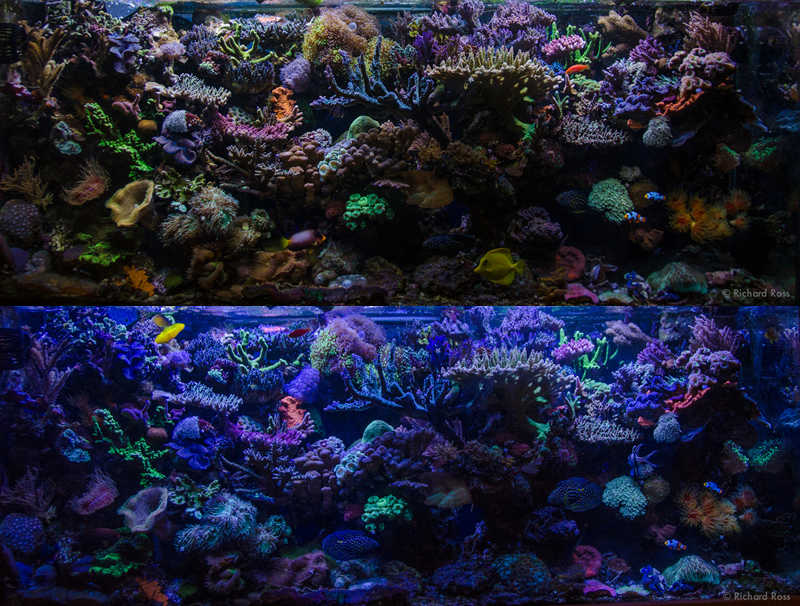 FTS-combo-sm.jpg