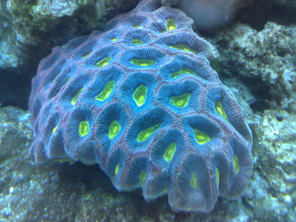 3677849285_9c51e9e3f0_b.jpg
