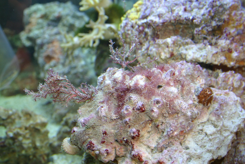 img_8040.jpg