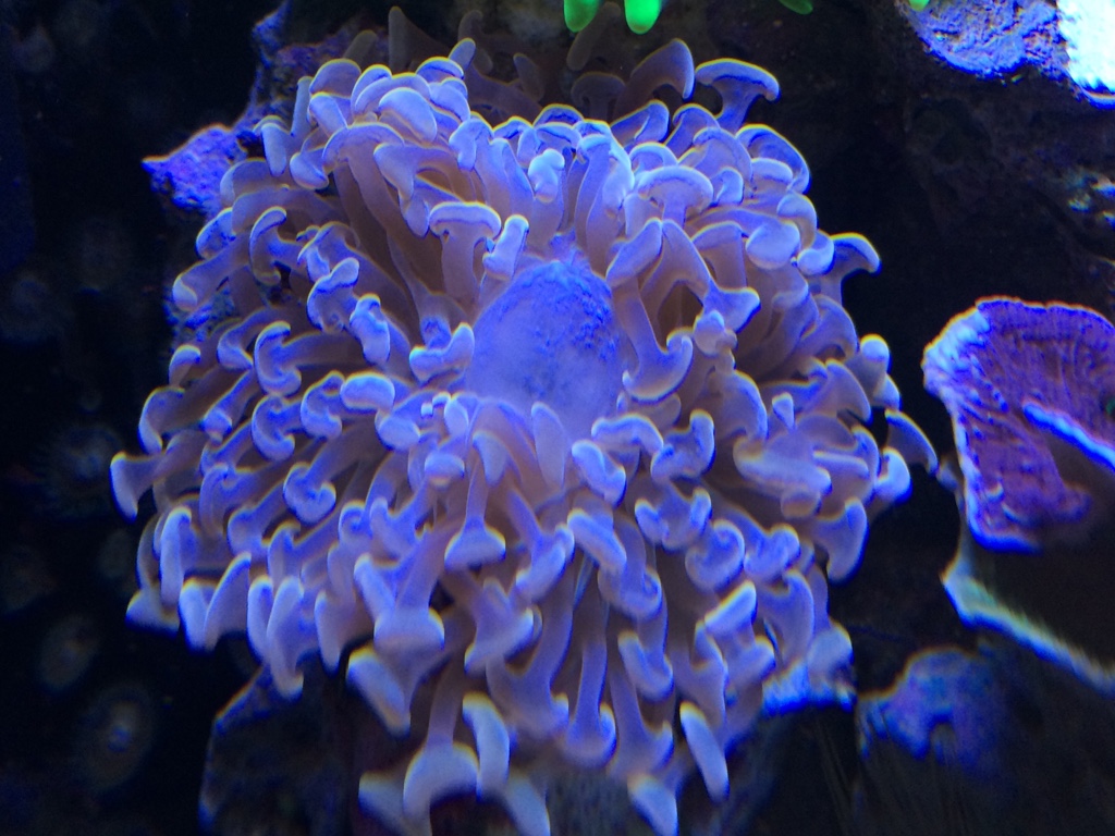 ea35c34a25162e71e35fd8e5218971d2.jpg