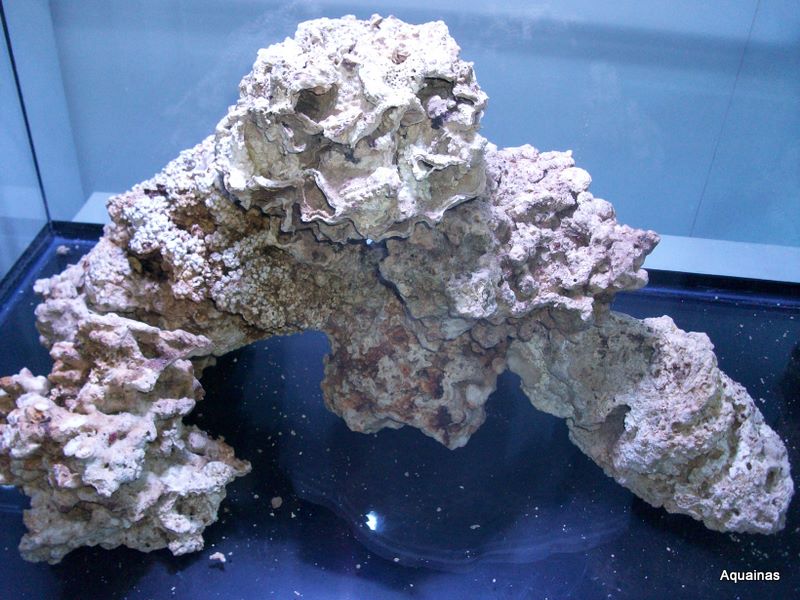 100_6726.jpg