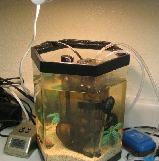 brine2.jpg