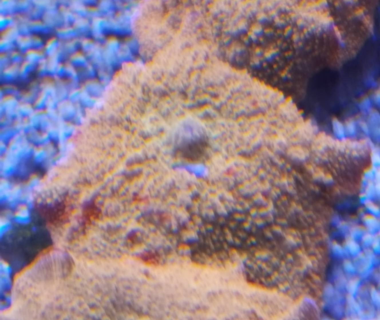 46c34687d62bbff0d3033640c7dfce0a.jpg