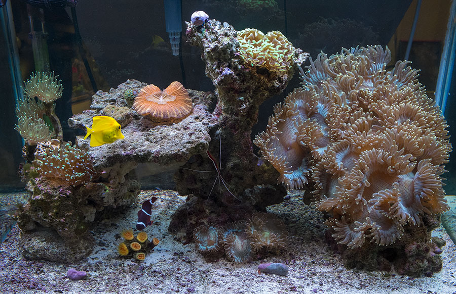 50g_20130904_1.jpg