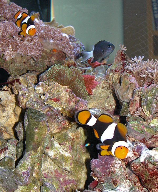 DSCN7567_7-24-05.jpg