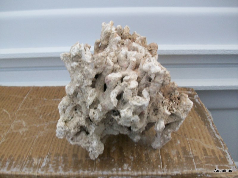 100_6580.jpg