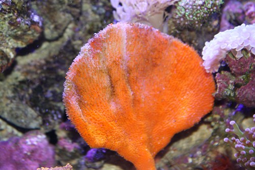 4485889064_d8904cef55.jpg