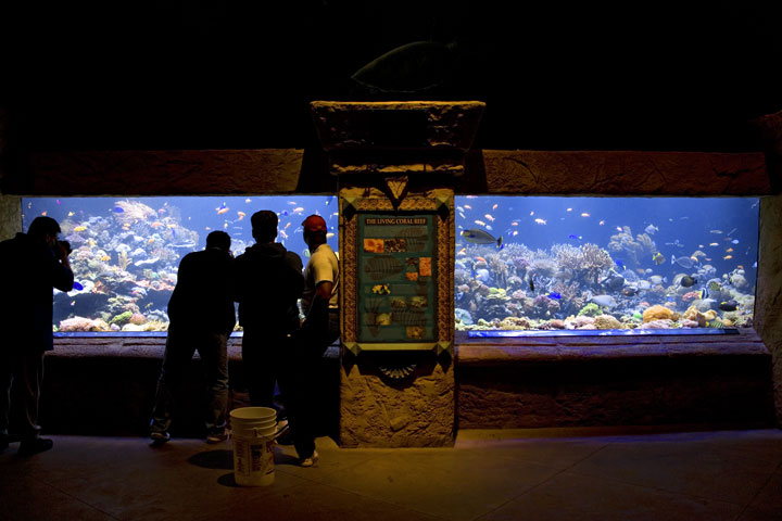 Atlantis-After-Dark.jpg