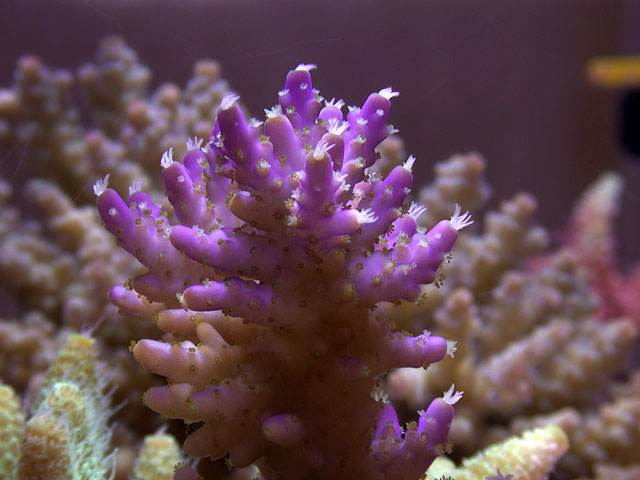 DSCN4626.jpg