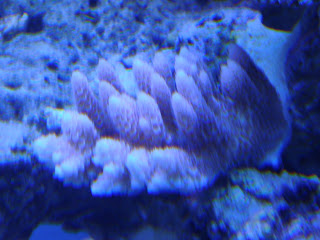 DSC03357.JPG